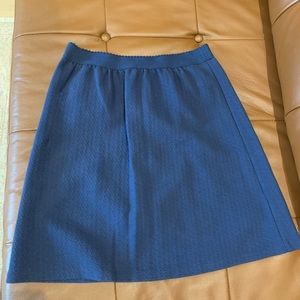 9-H15-STCL navy blue skirt